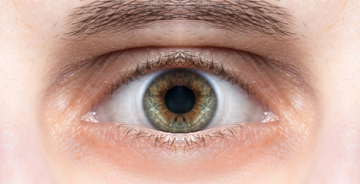 eye1 eye1